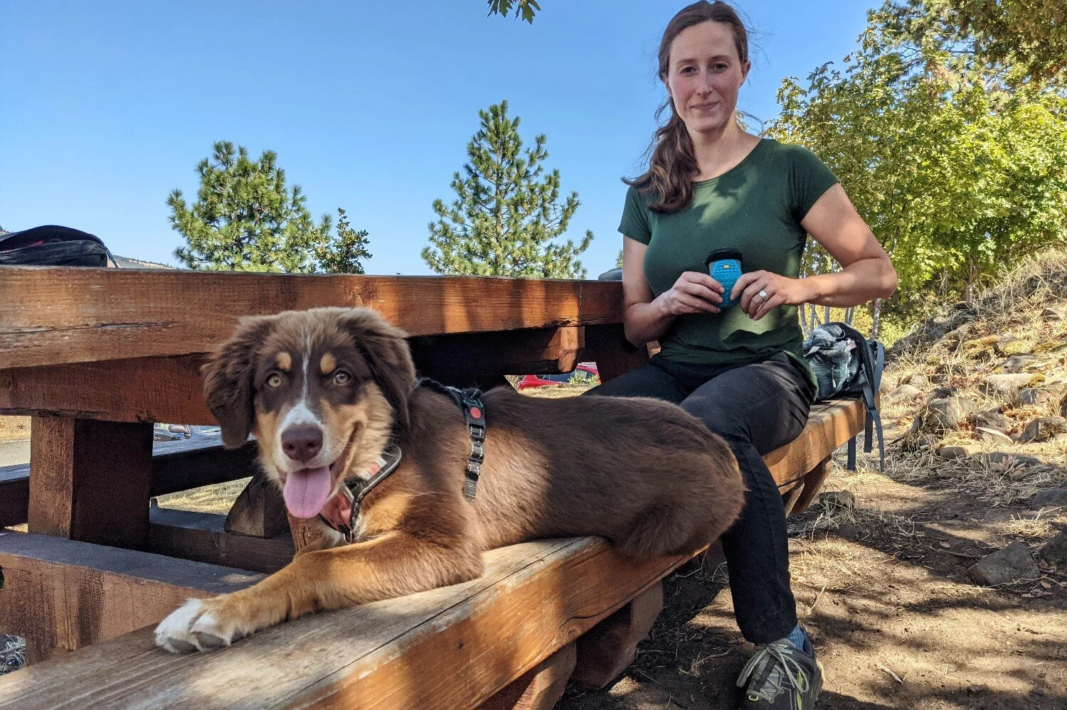 Should Your Dog Wear Boots