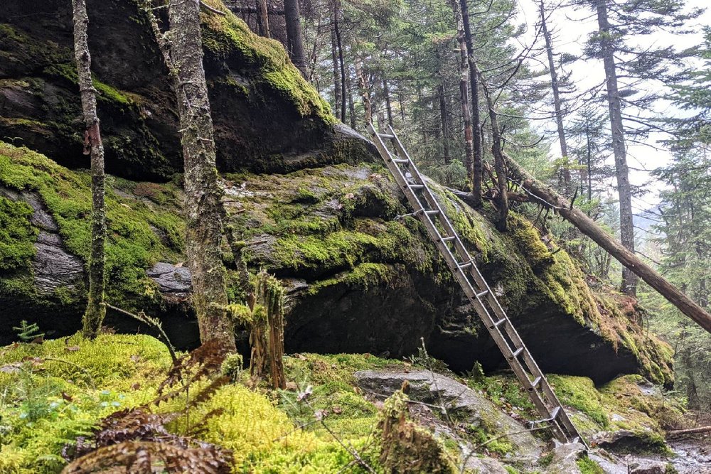 Ladder Ravine on the Long Trail