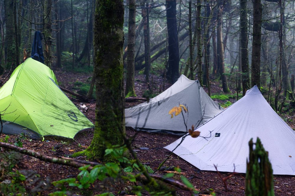 Three tents set up in a forest