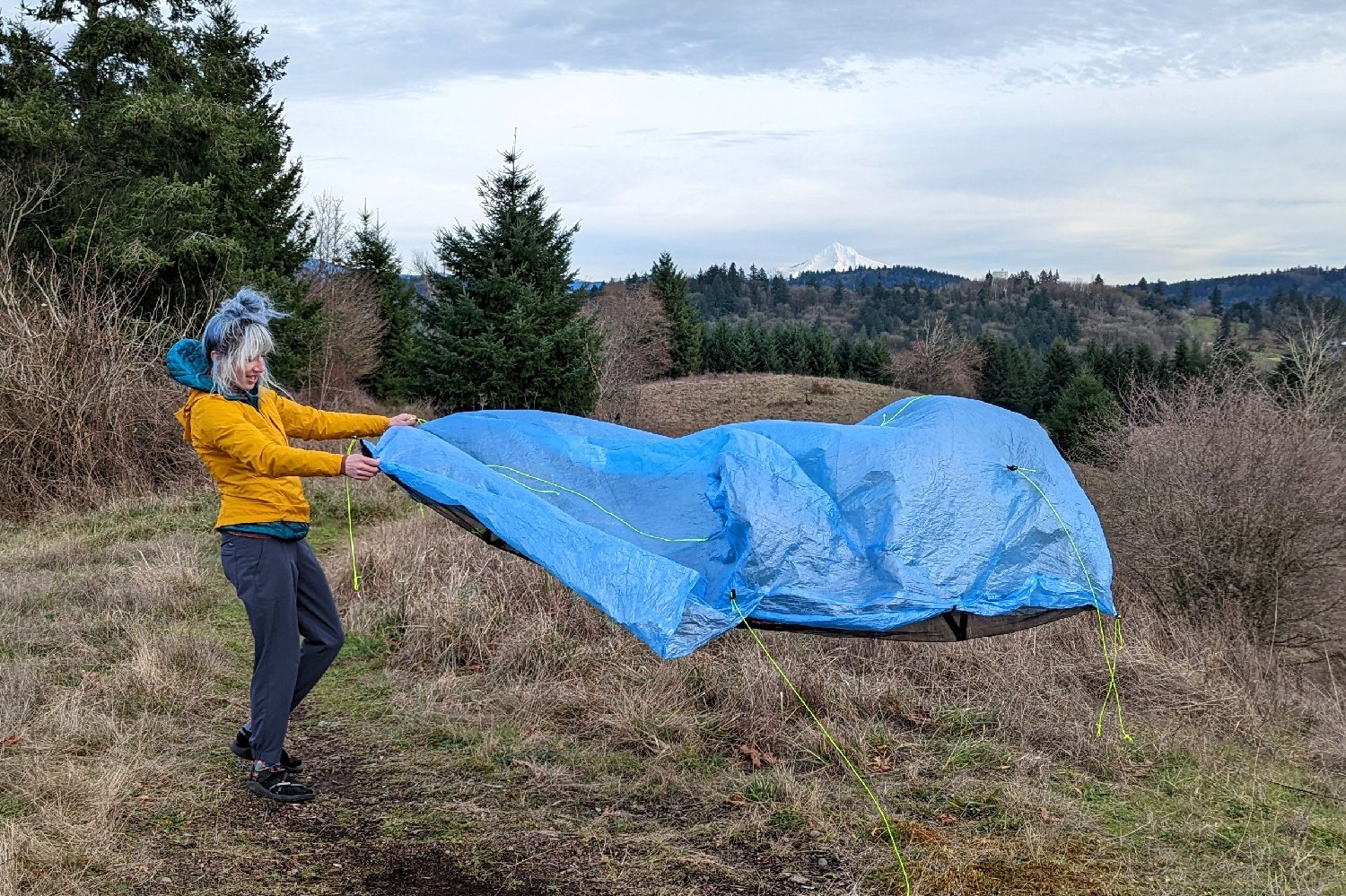 Zpacks Plex Solo Tent Review CleverHiker
