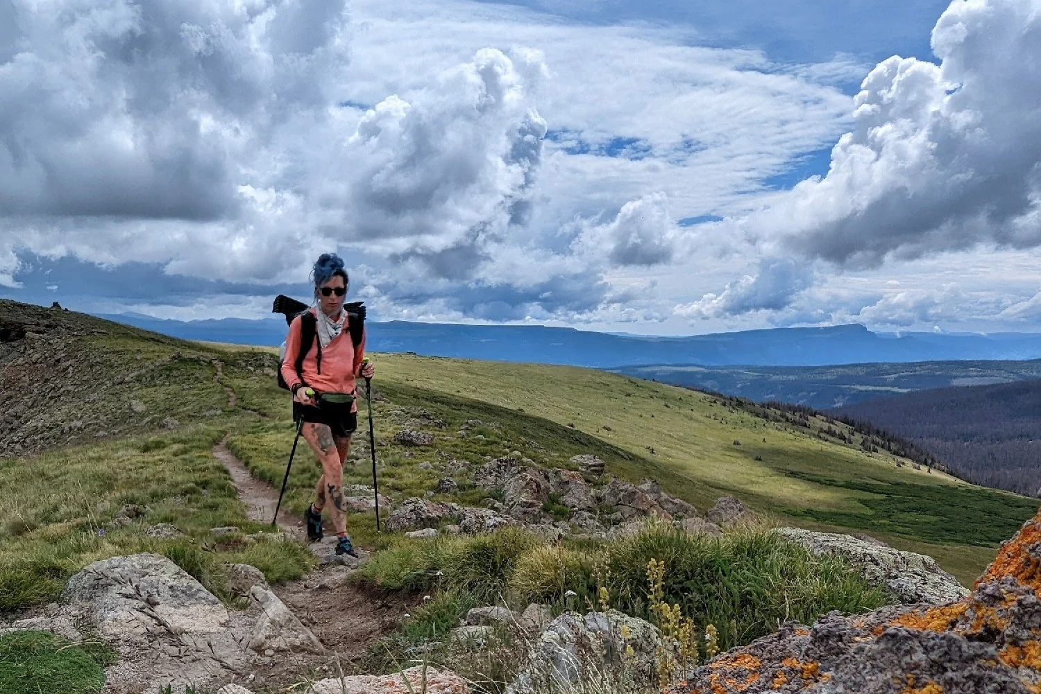 Fizan Compact 3 Trekking Poles Review CleverHiker