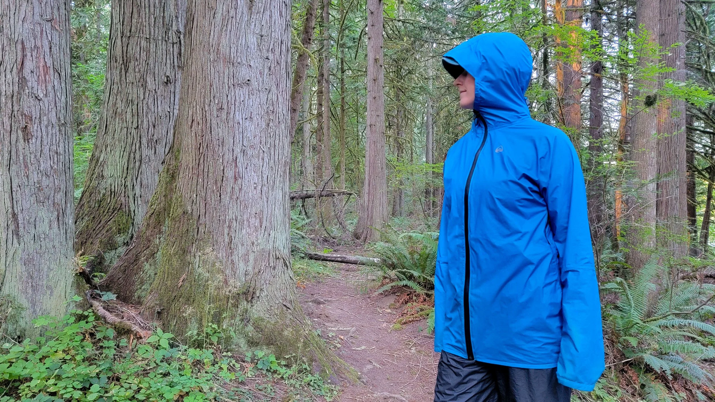 Zpacks Vertice Rain Jacket Review 