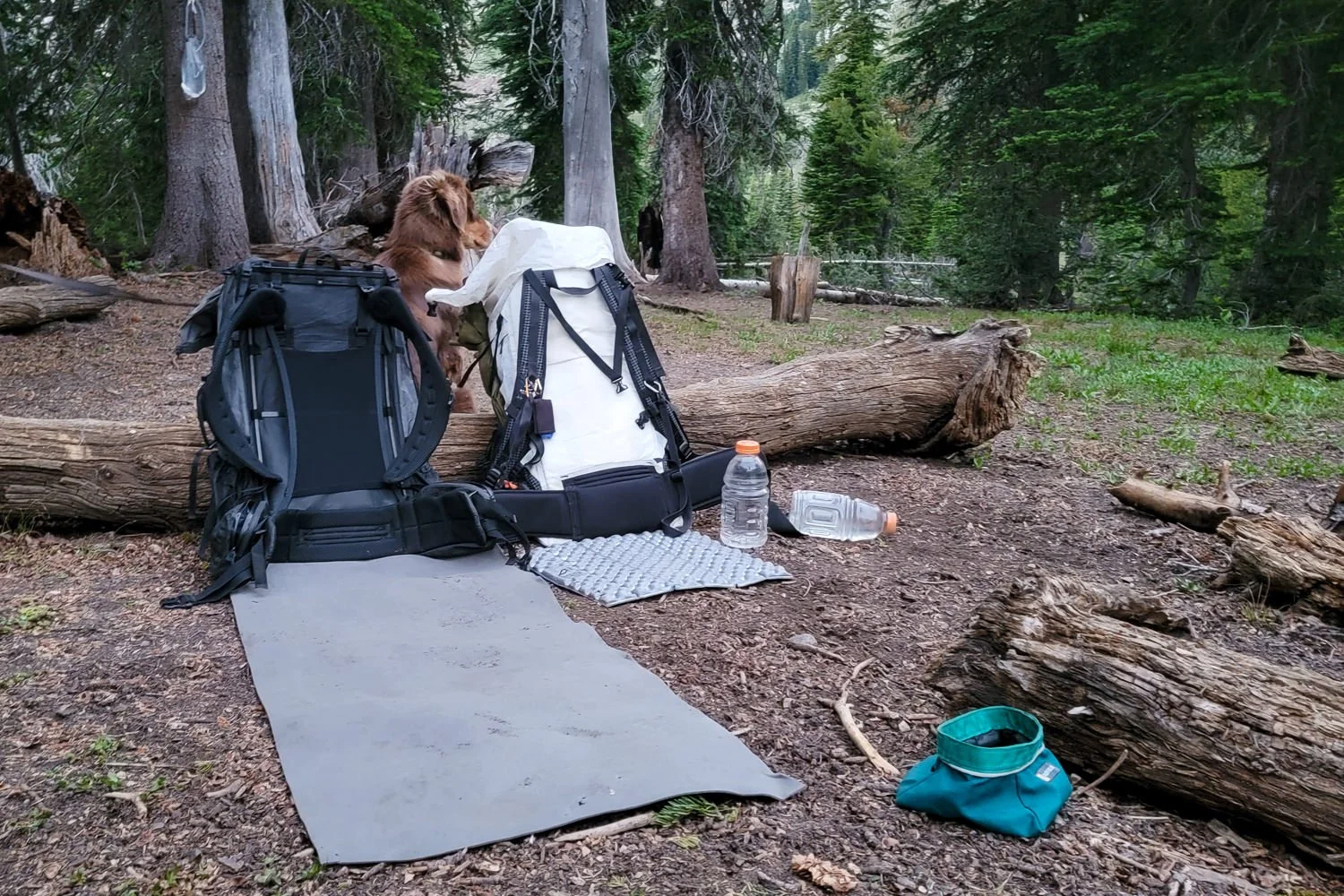 10 Best Backpacking Chairs of 2023 — CleverHiker Backpacking Gear