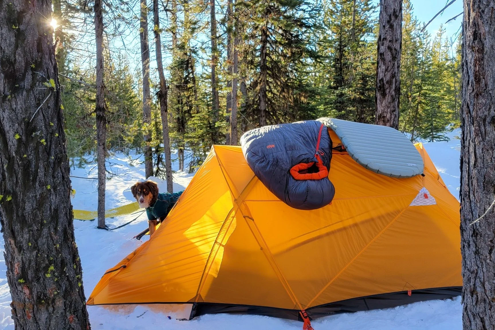 10 Best Backpacking Sleeping Pads of 2023 CleverHiker