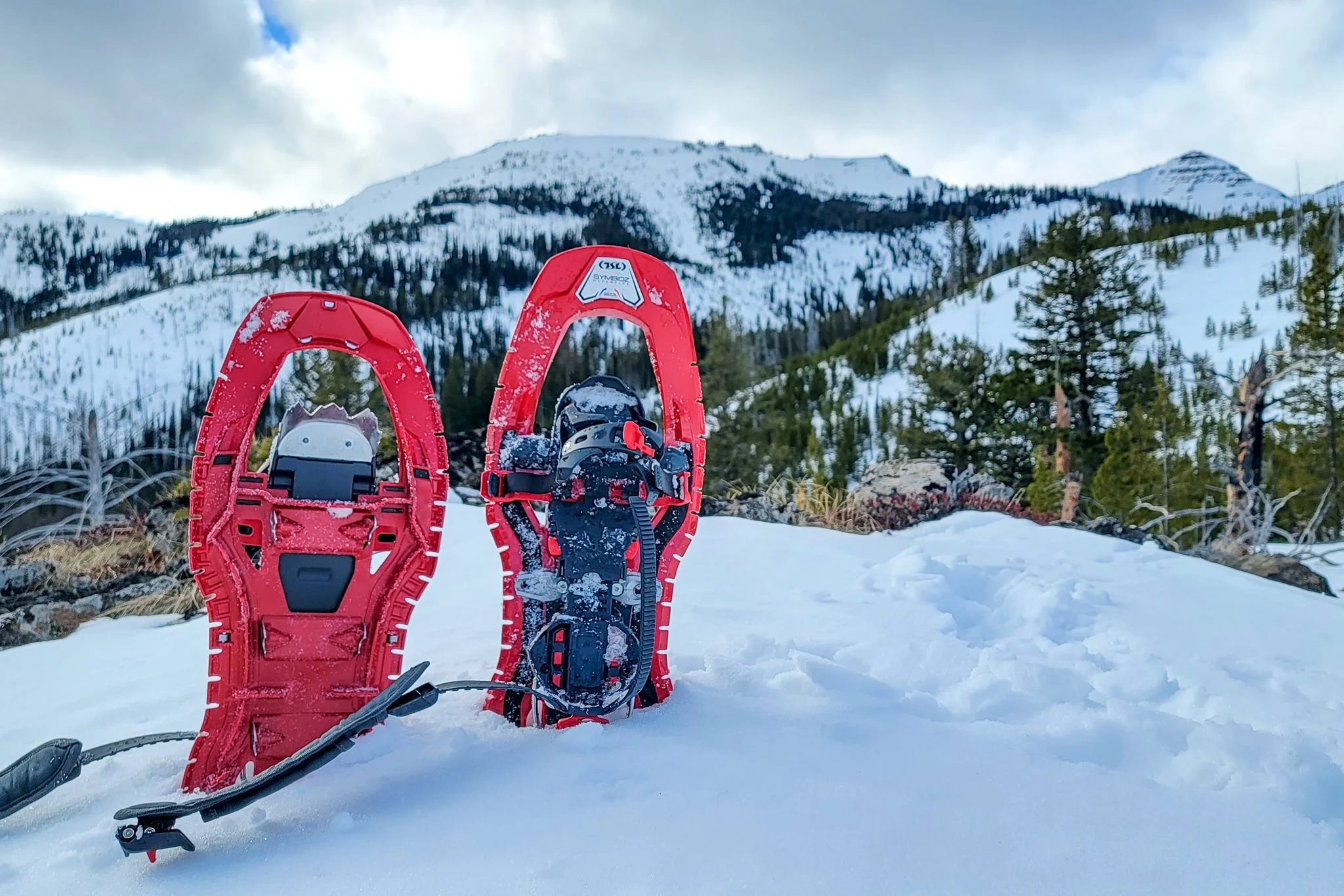 Best Snowshoes for Mountaineering of 2023 CleverHiker