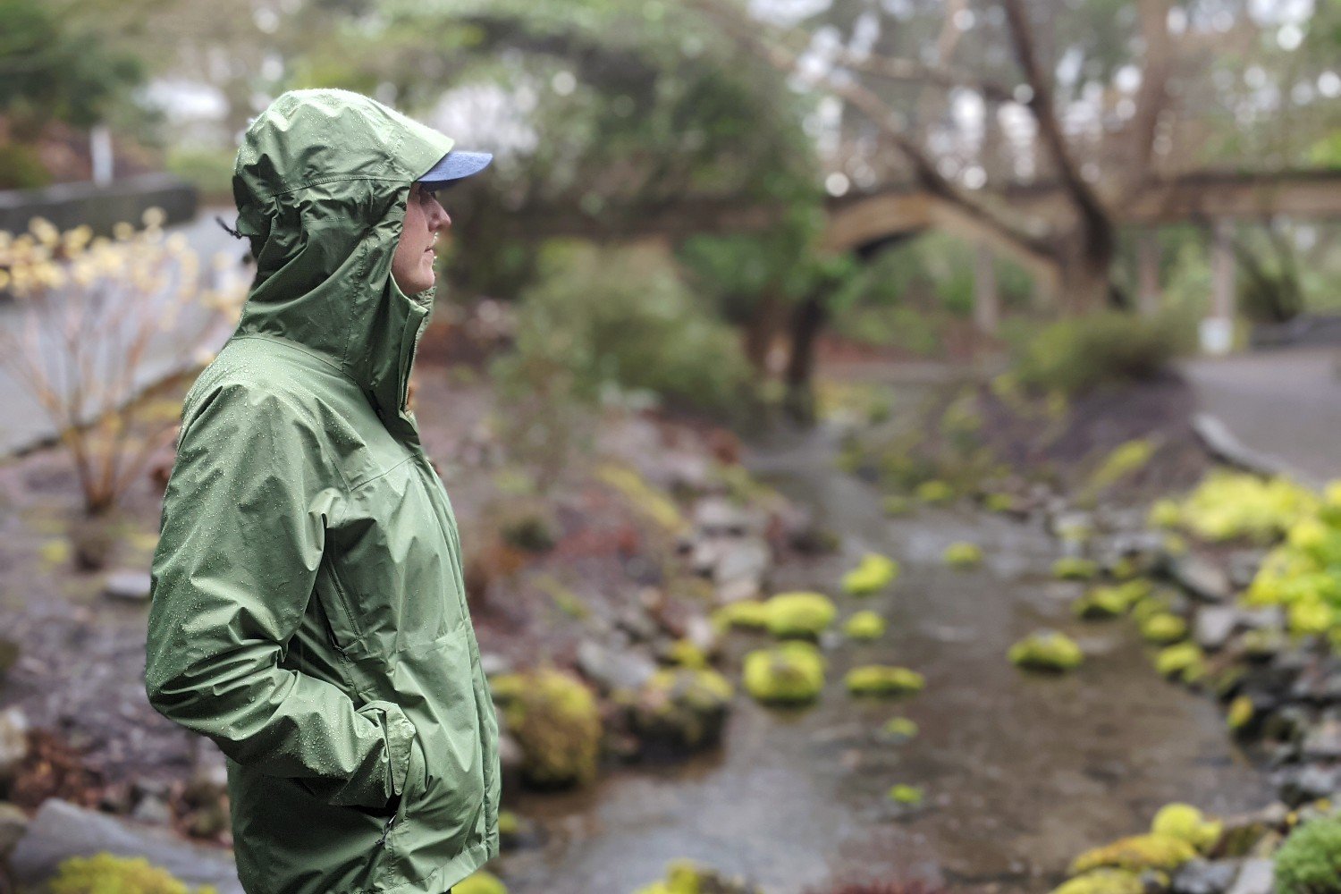 Outdoor Research Cloud Forest Jacket - Men's