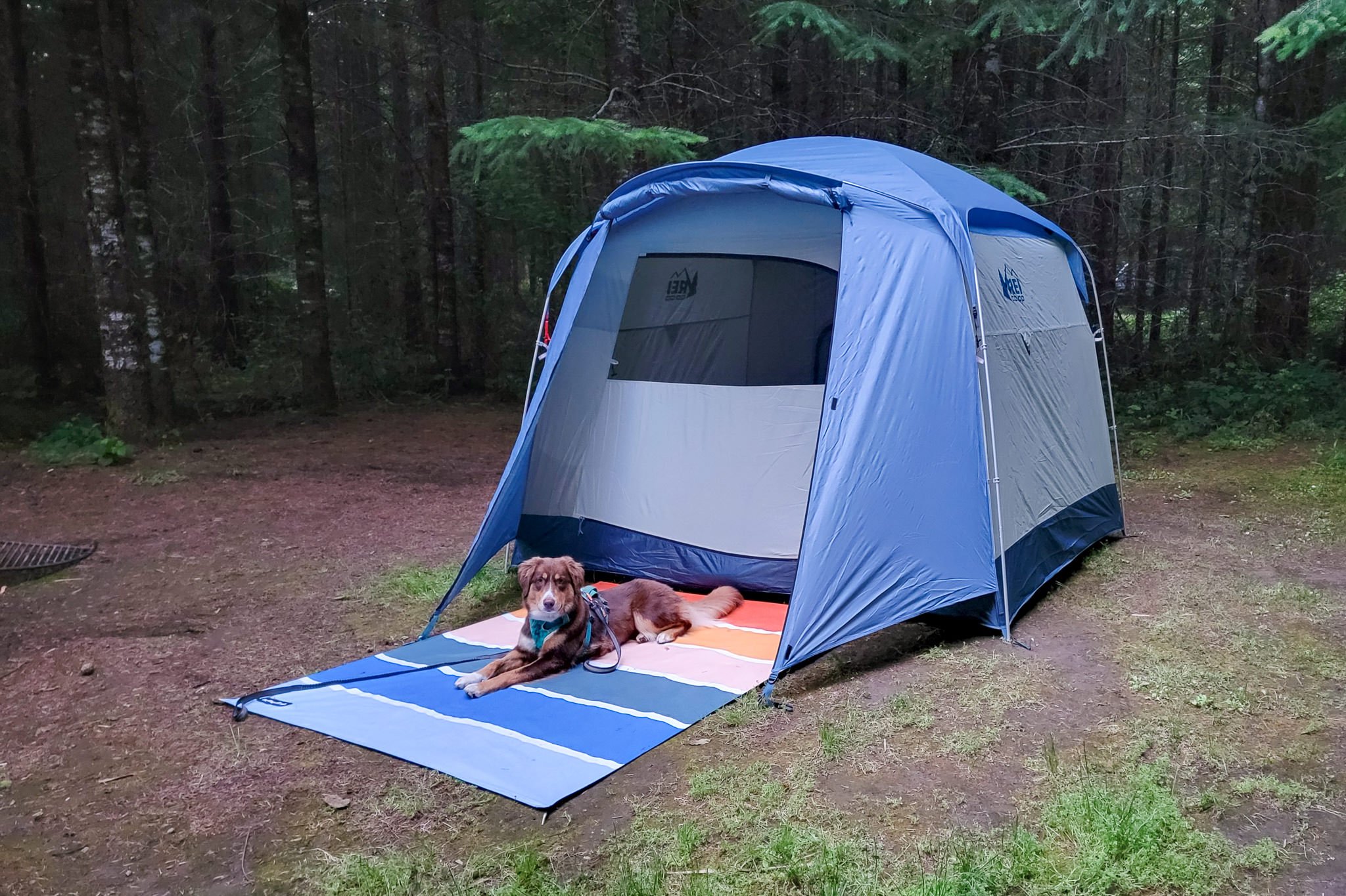 10 Best Camping Tents Of 2023 | Cleverhiker