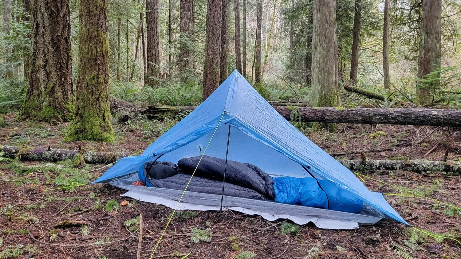 Zpacks Mummy Sleeping Bag Review CleverHiker