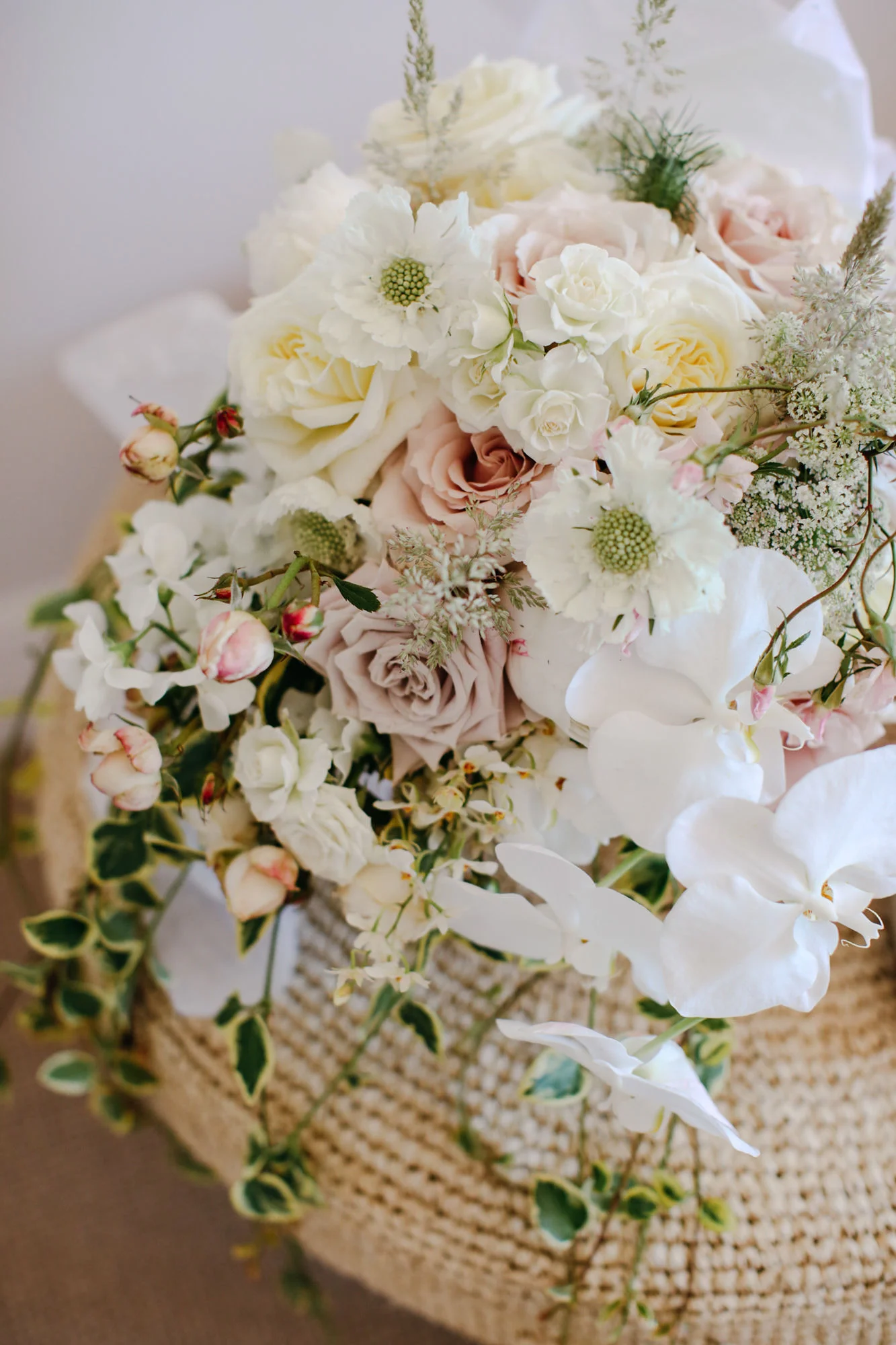 Vaucluse Wedding Featured in Vogue Brides — Boutierre Girls