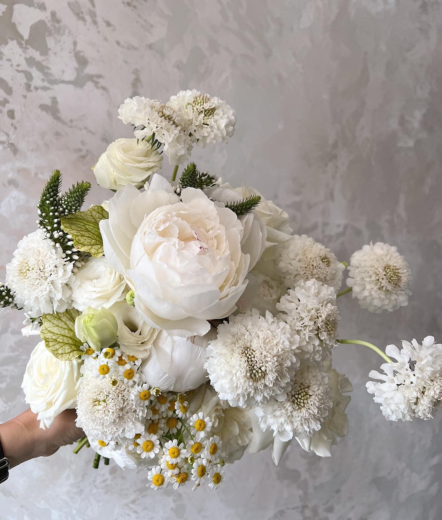 When spring flowers make it right through till Christmas. 🤍🤍🤍 bridal bouquet for Lauren  x ☁️ ☁️ ☁️