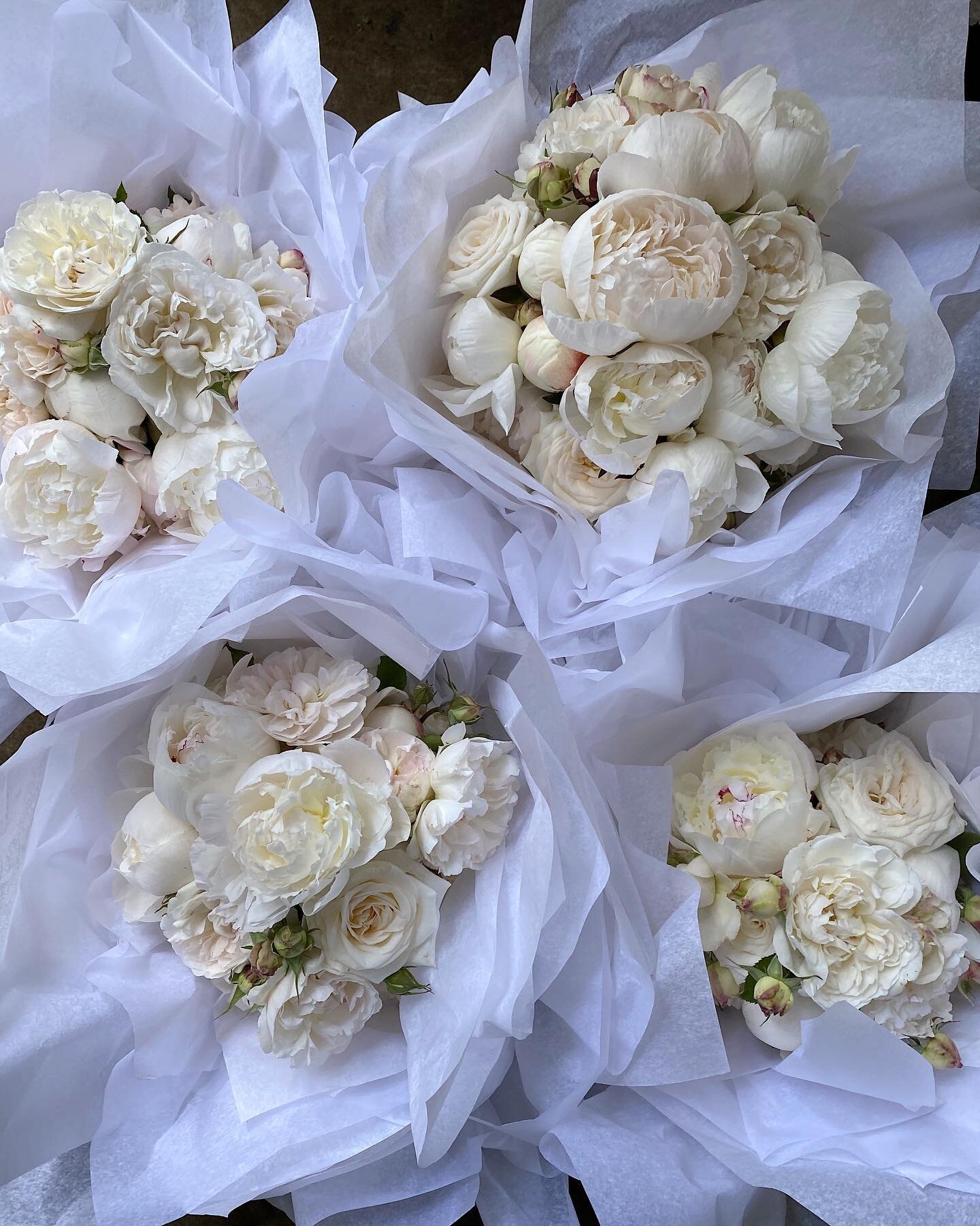Classic whites ☁️ ☁️ ☁️ #peonies #roses #davidaustinroses