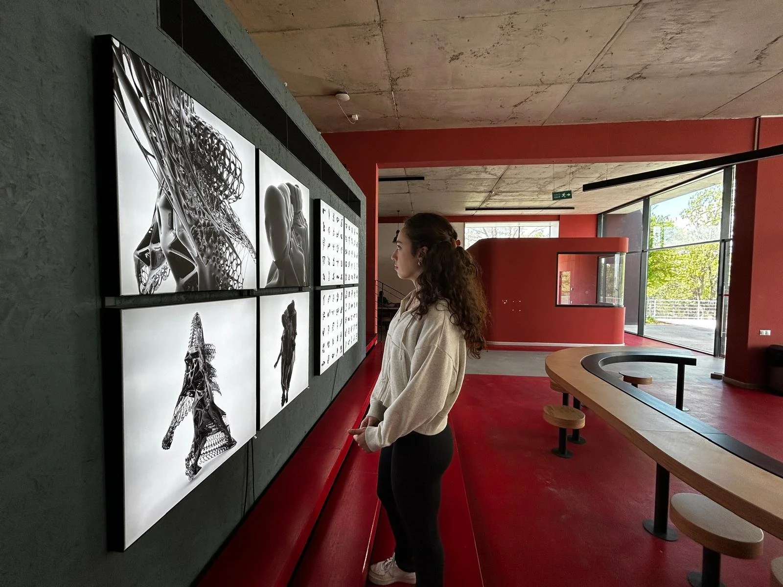 WhatsApp Image 2025-05-13 at 03.49.44 (7).jpeg