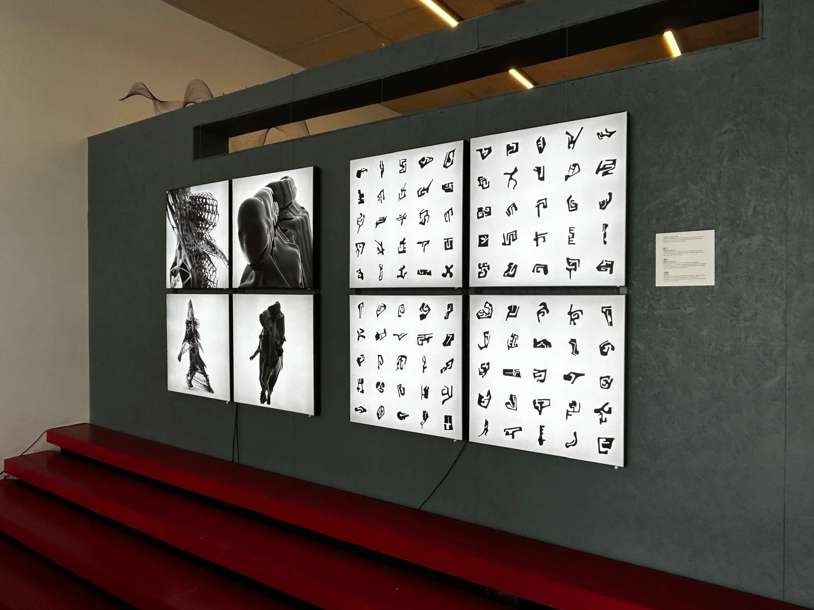 WhatsApp Image 2025-05-13 at 03.49.44 (1).jpeg