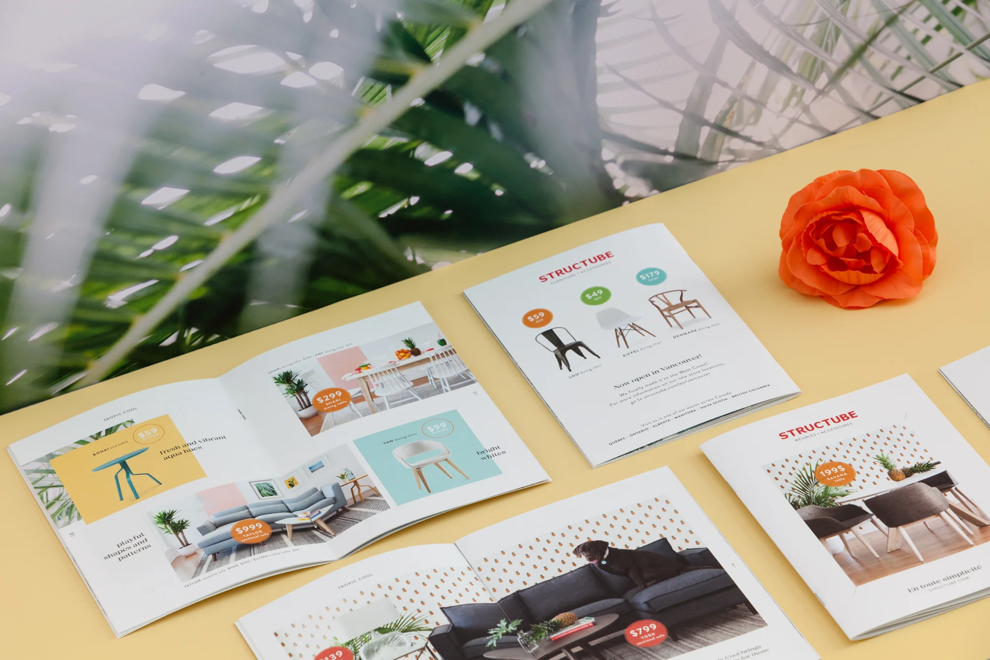 Summer-catalog-portfolio-5.jpg
