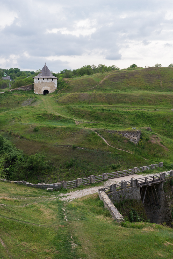 _DSC7368.jpg