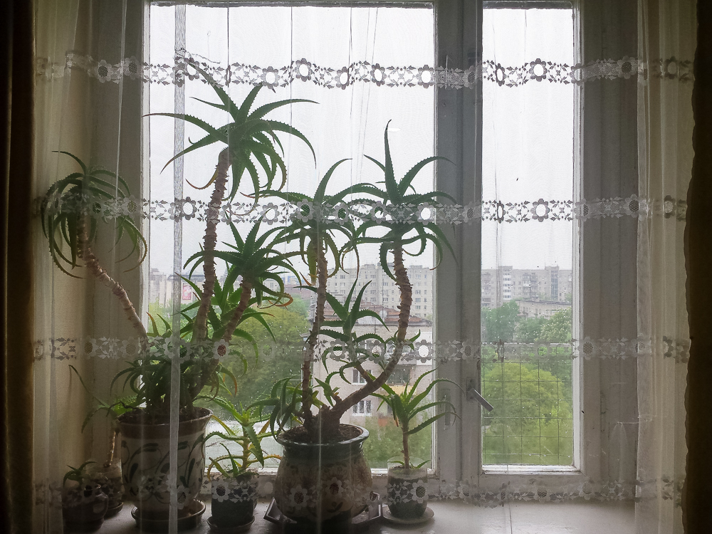 20160513_124028.jpg