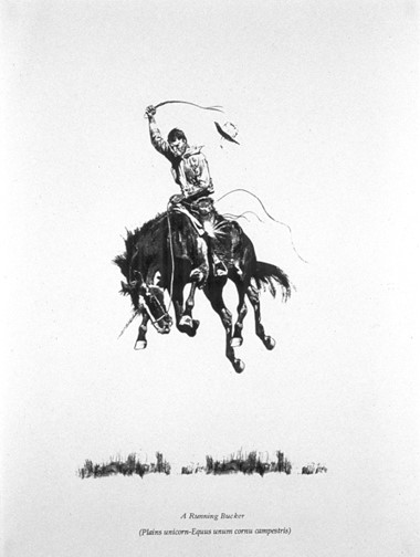 Plains Unicorn bucking, large format Xerox, 50" x 32", 1997