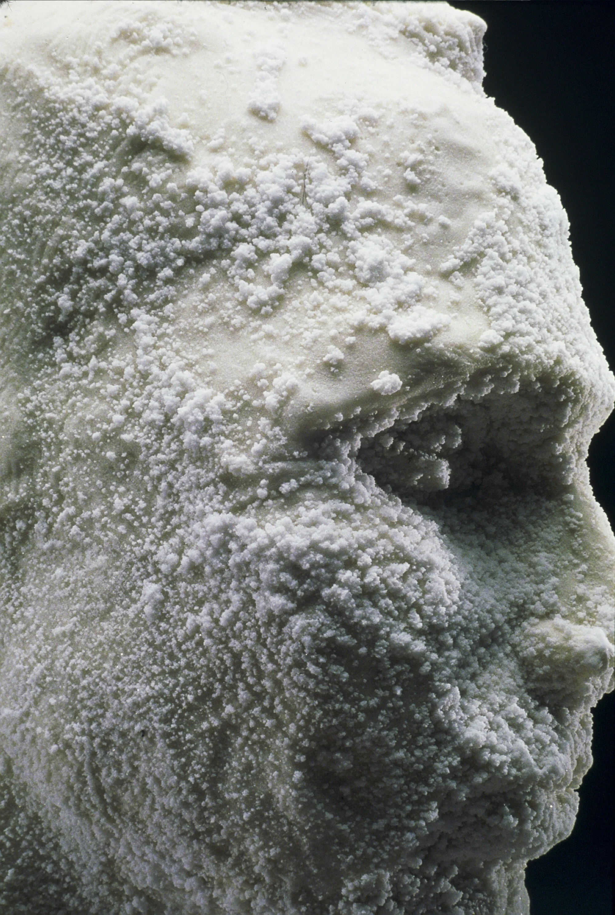 Sons of Sodom, Roger, detail.JPG