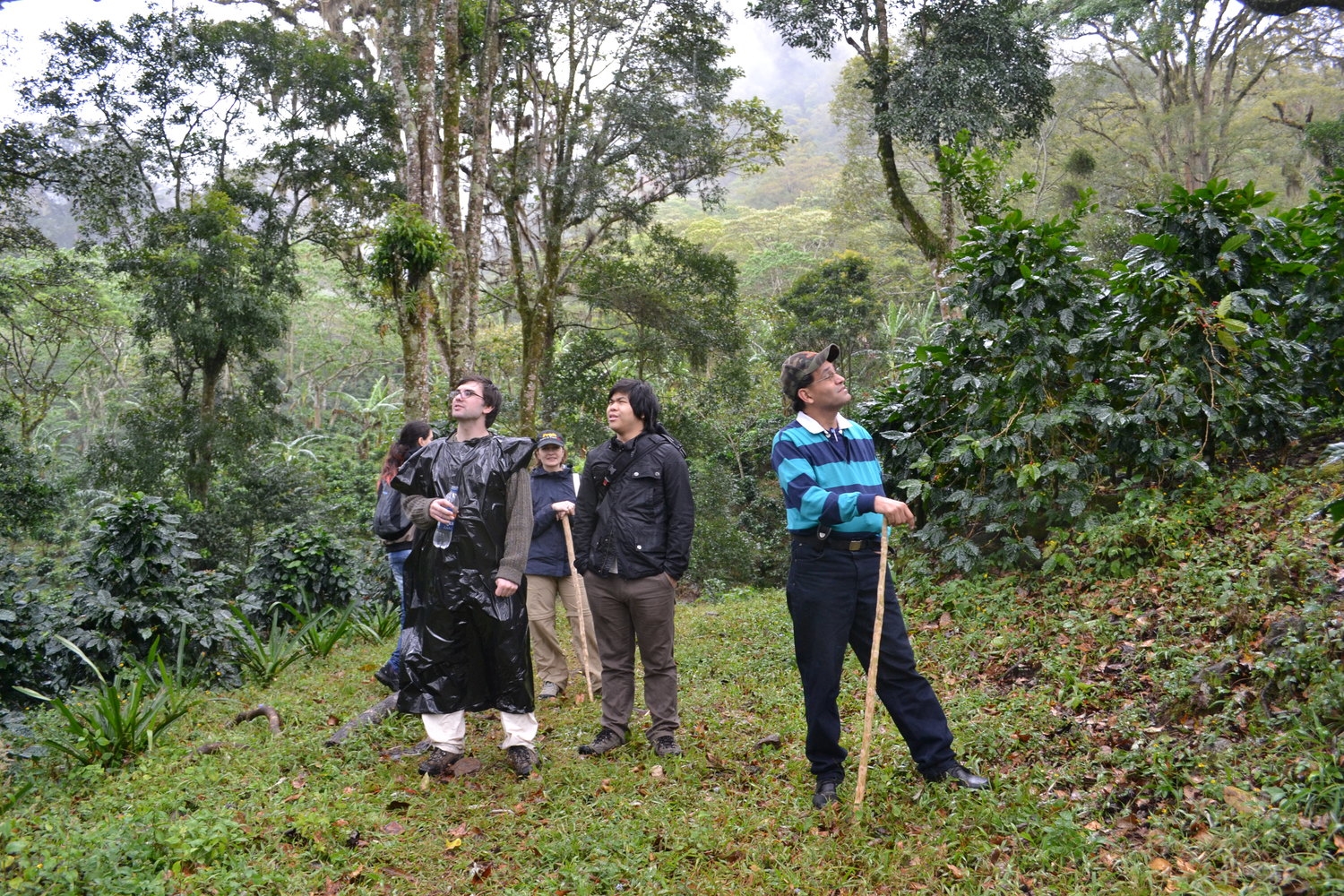  Hiking trip and tour to learn about the cloud forest of Santa Maria de Ostuma. 