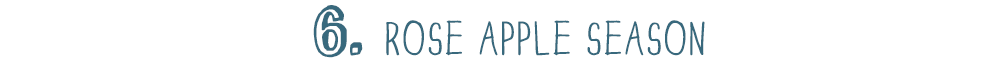 apples.png