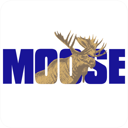 Avon Park, FL - Moose Lodge NEW YEAR's EVE