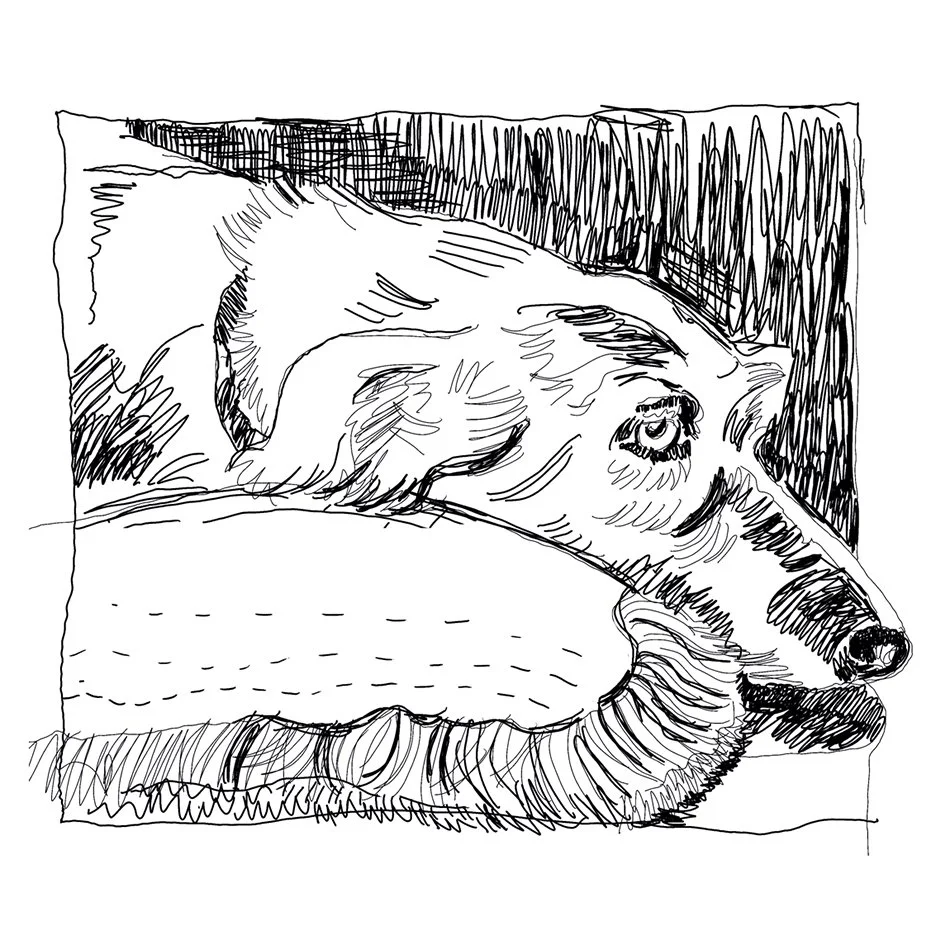 Lizzie-sketcha.jpg