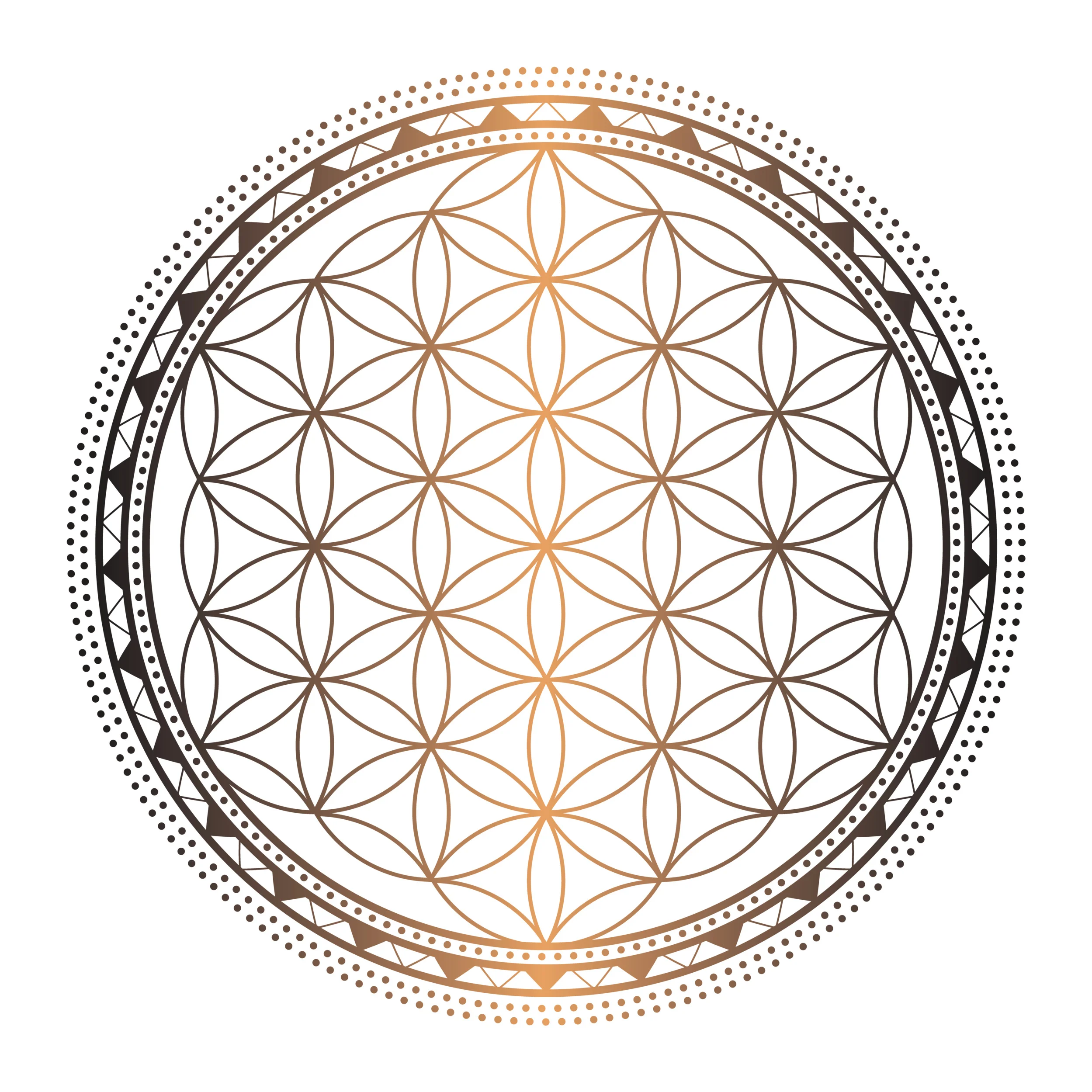 Sacred+Geometry_7.jpg
