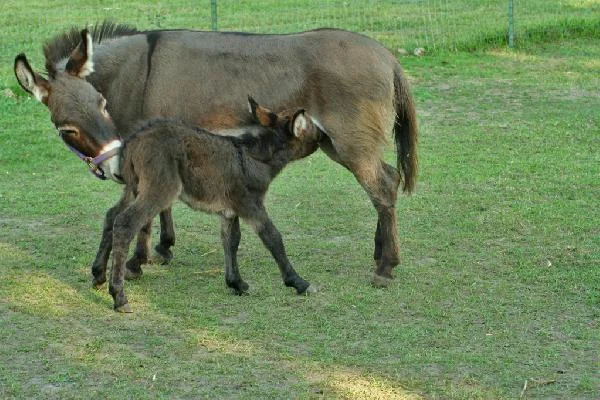 picture_img-18.jpg