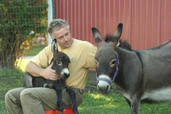 picture_img-20.jpg
