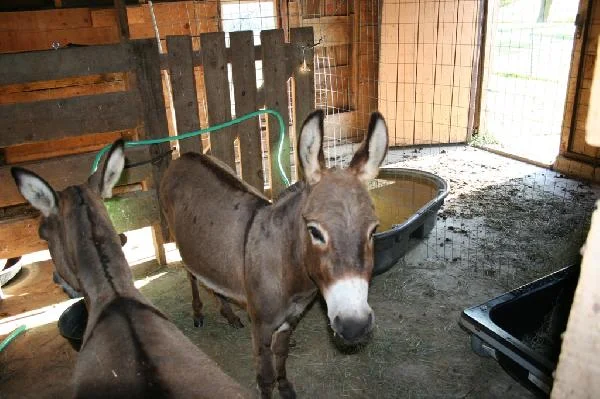 picture_img-24.jpg