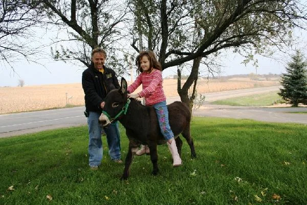 picture_img-27.jpg