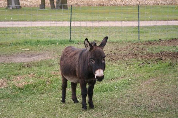 picture_img-28.jpg