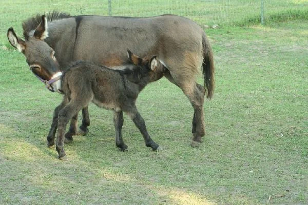 picture_img-30.jpg
