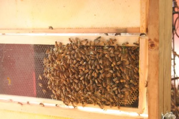 picture_img-3.jpg
