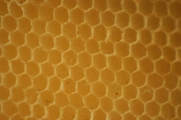 picture_img-2.jpg