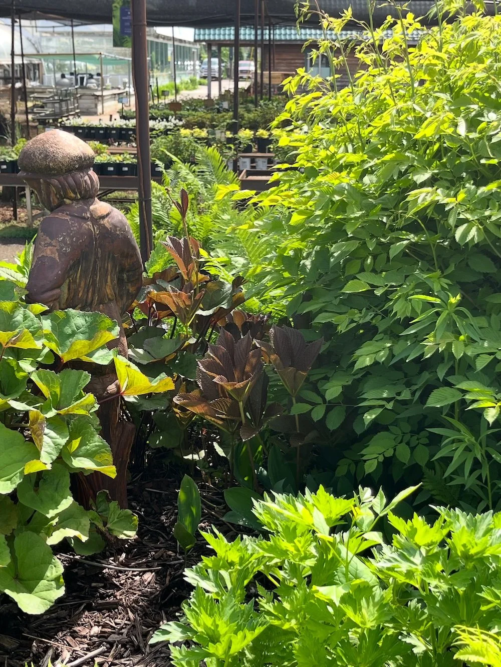 Perennials - statue.jpg