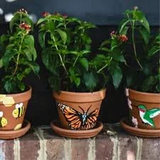 Pollinator Planter Workshop.jpg