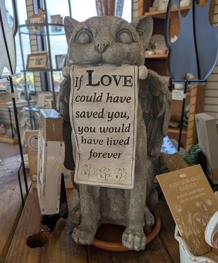Cat holding a sign saying If Love Could have Saved You, you would have lived forever