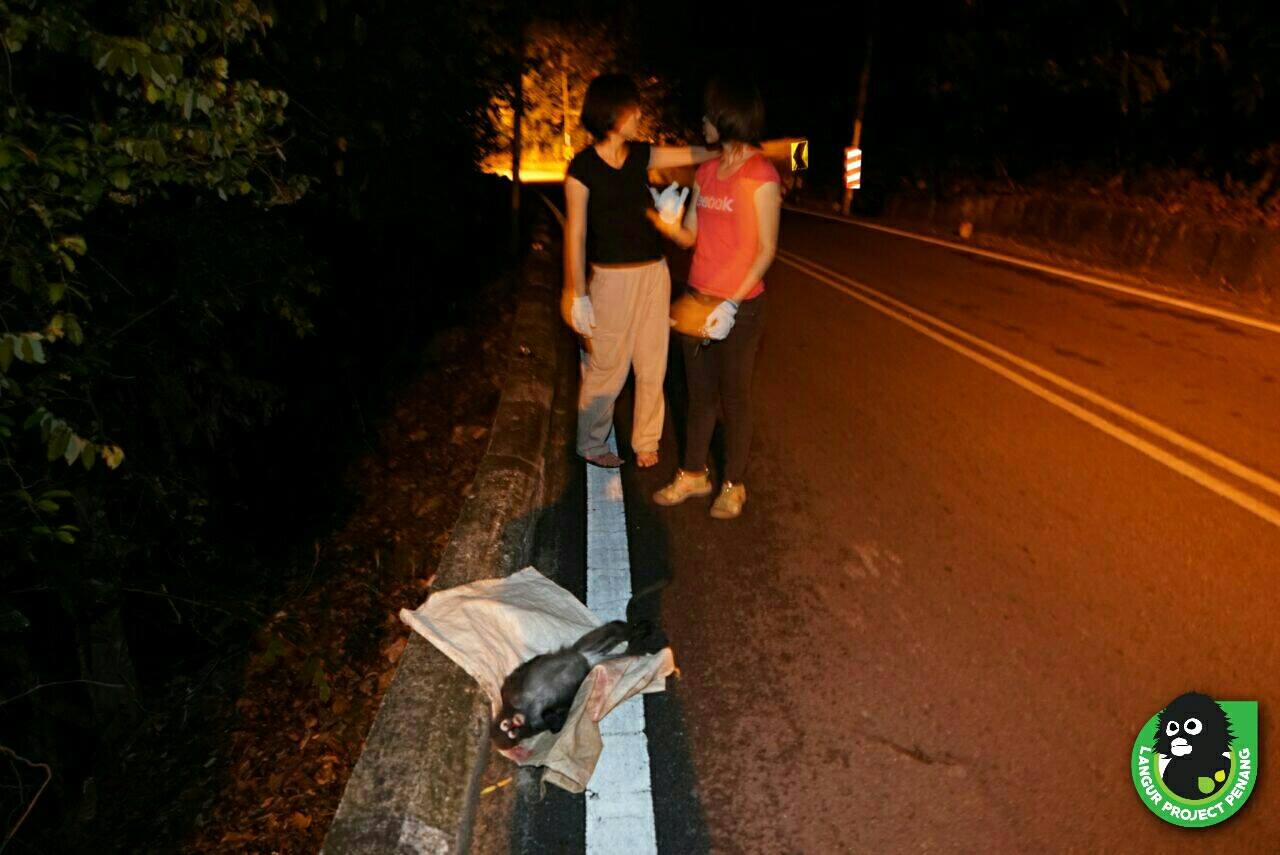 LPP arriving at the scene where Te Peik's lifeless body was found