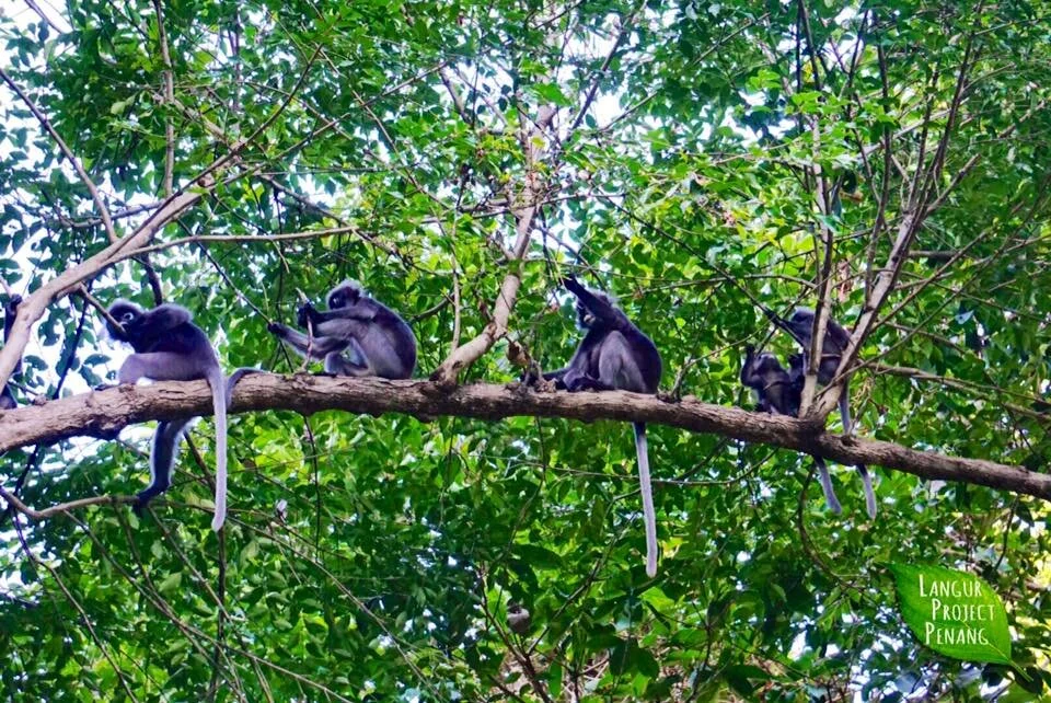 Rest in peace, Te Piek