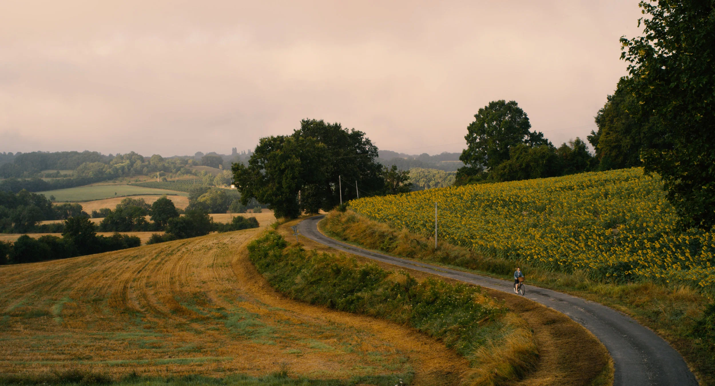 Castillones Landscape.jpg