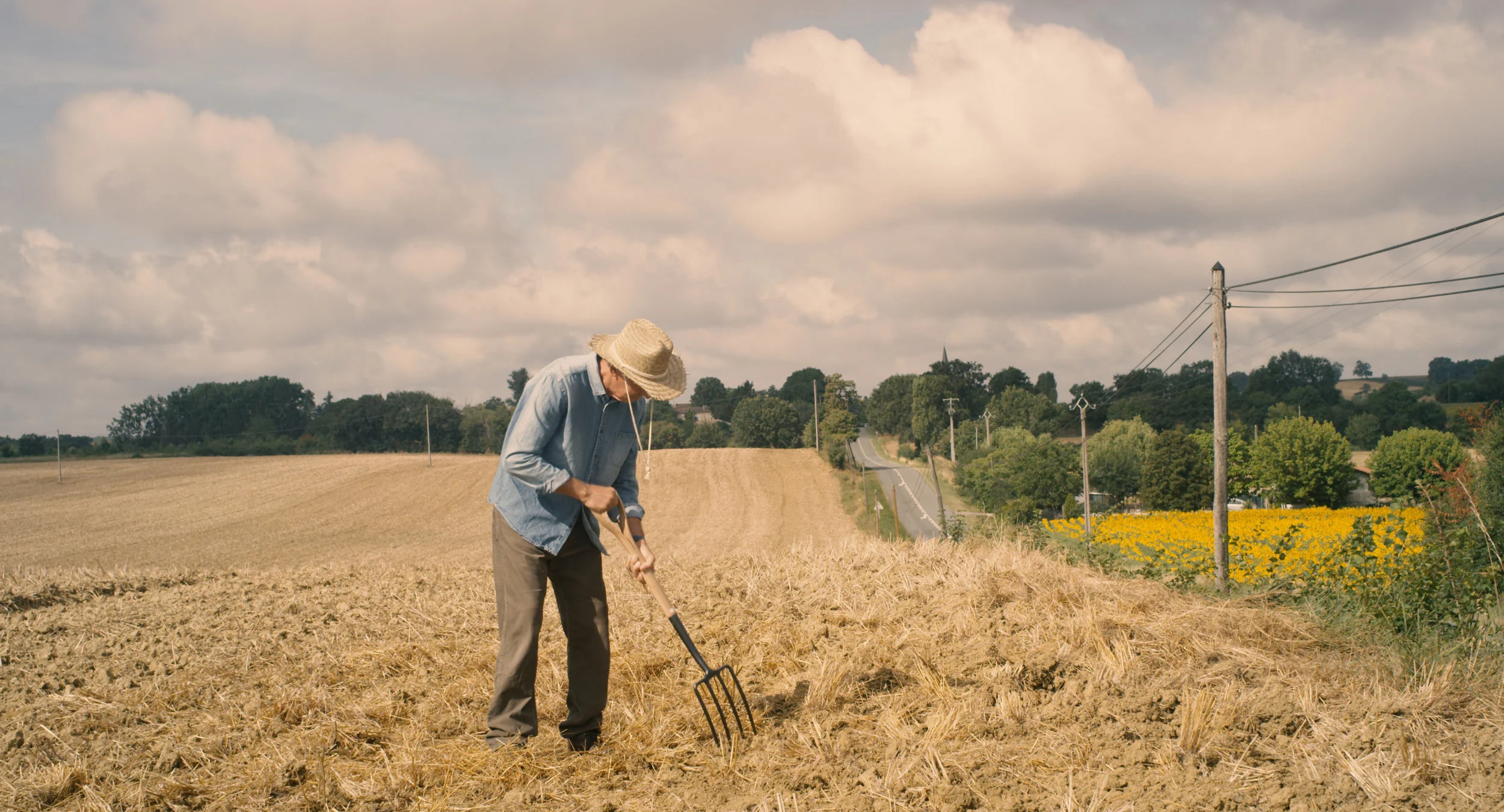 Farmer in the Field.jpg