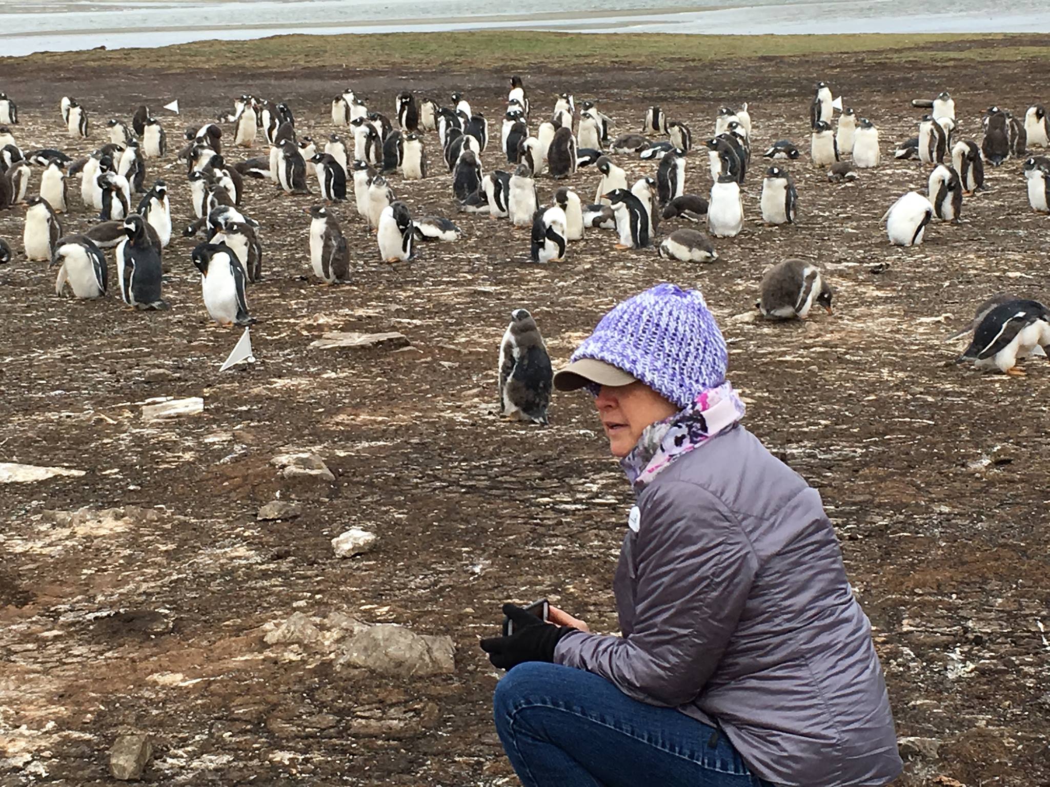 Jill artic with penguins.jpg