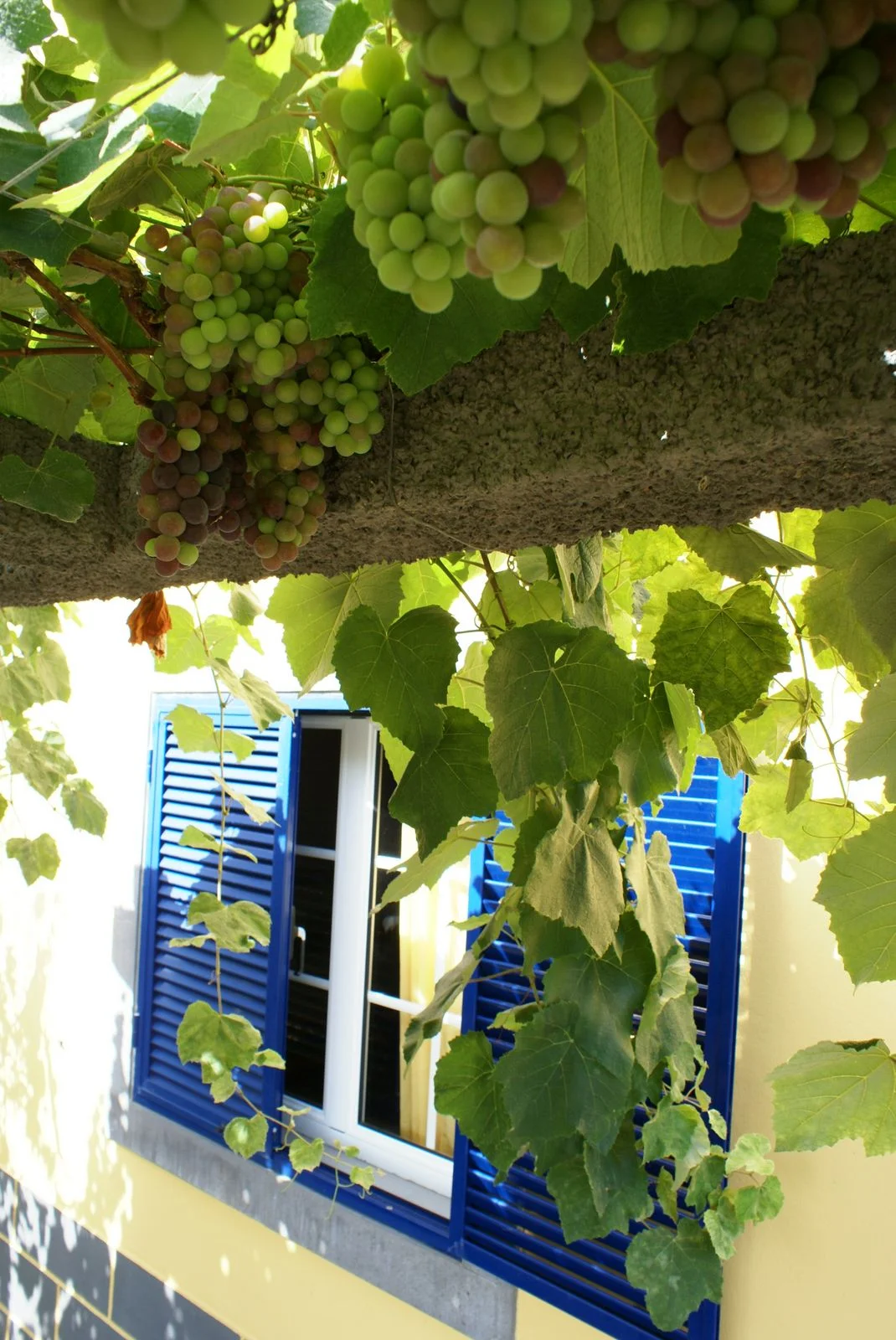 DSC03413.JPG