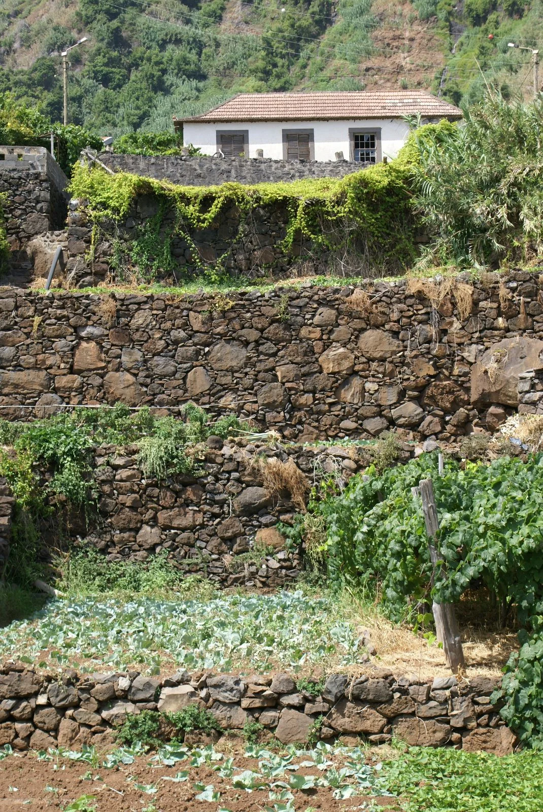 DSC03292.JPG