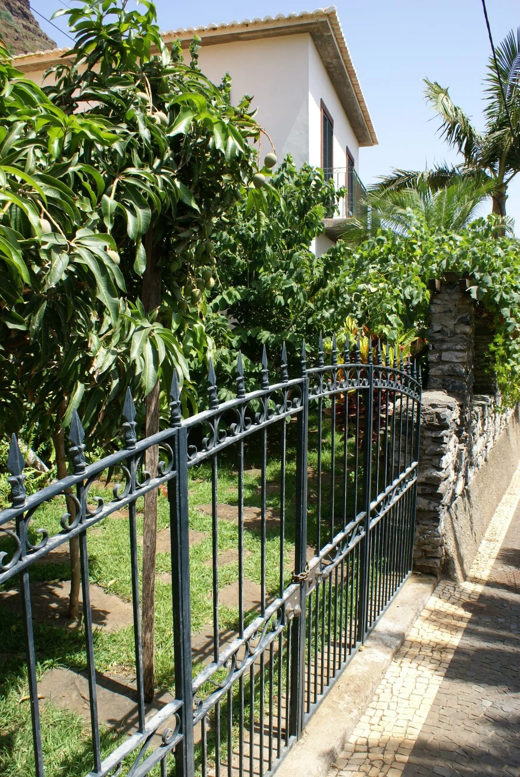 DSC03217.JPG