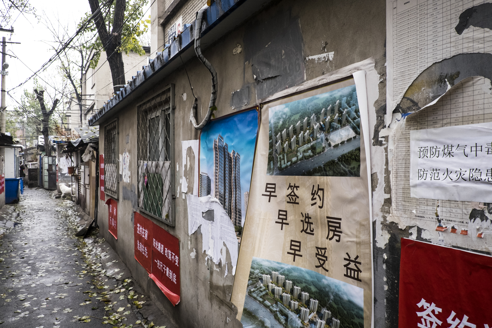 in few months this typical cozy "Hutong" on the southwest of the “temple of heaven” will be replaced by various skyscraper in order to built a new “beehive”. Over population, housing, heatings are the main responsible for the GHG emissions. The last
