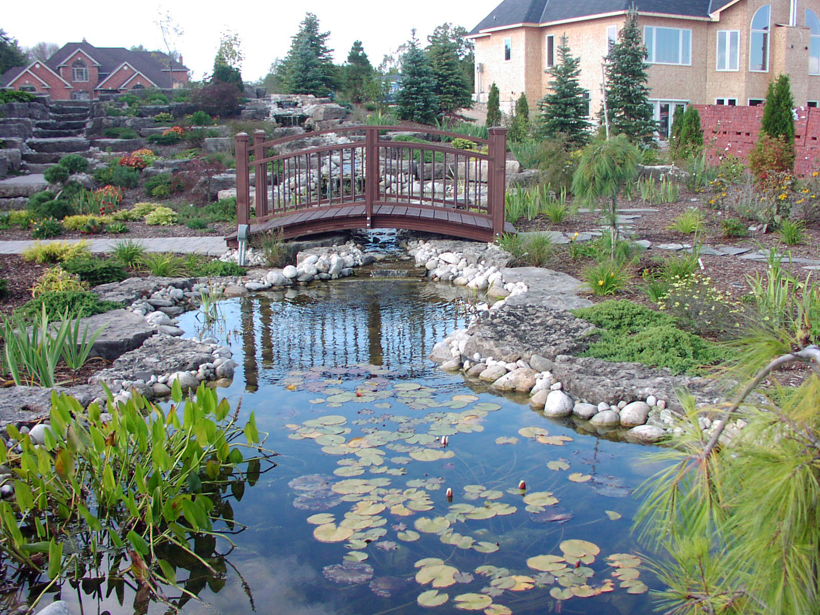 Water Feature