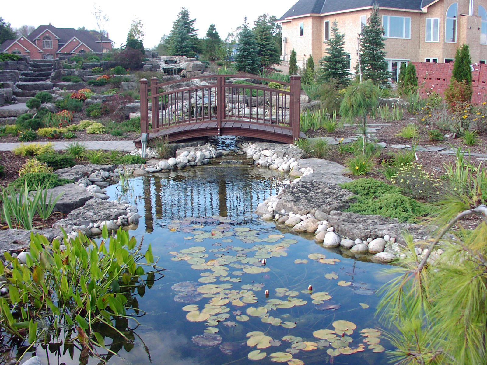 Water Feature
