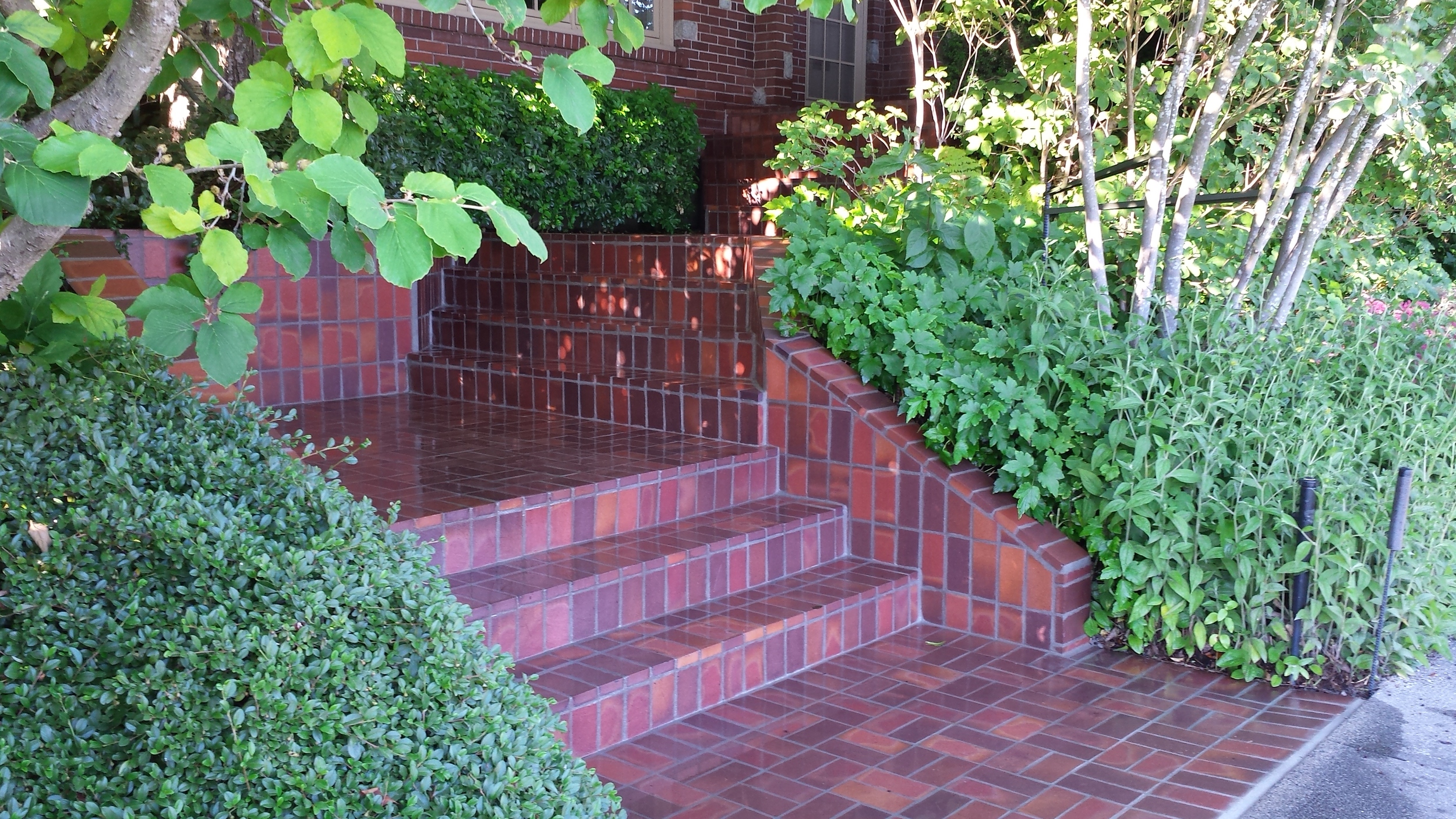 20150626_190553.jpg